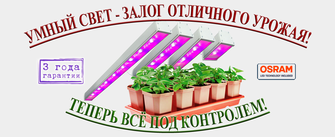 ooo proton proizvodstvo i prodazha